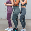 Seamless Power Leggings - Purple - Senita Athletics